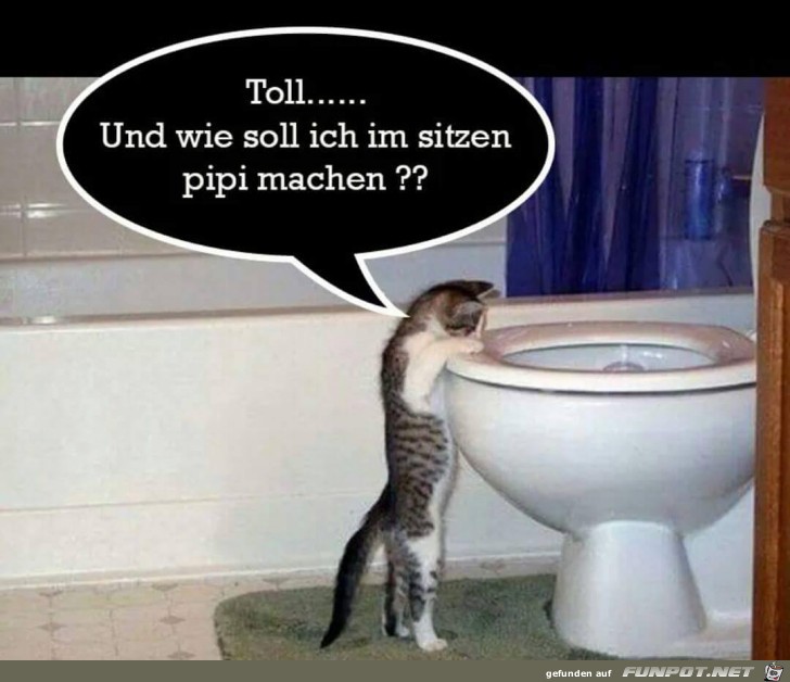 Und wie soll ich