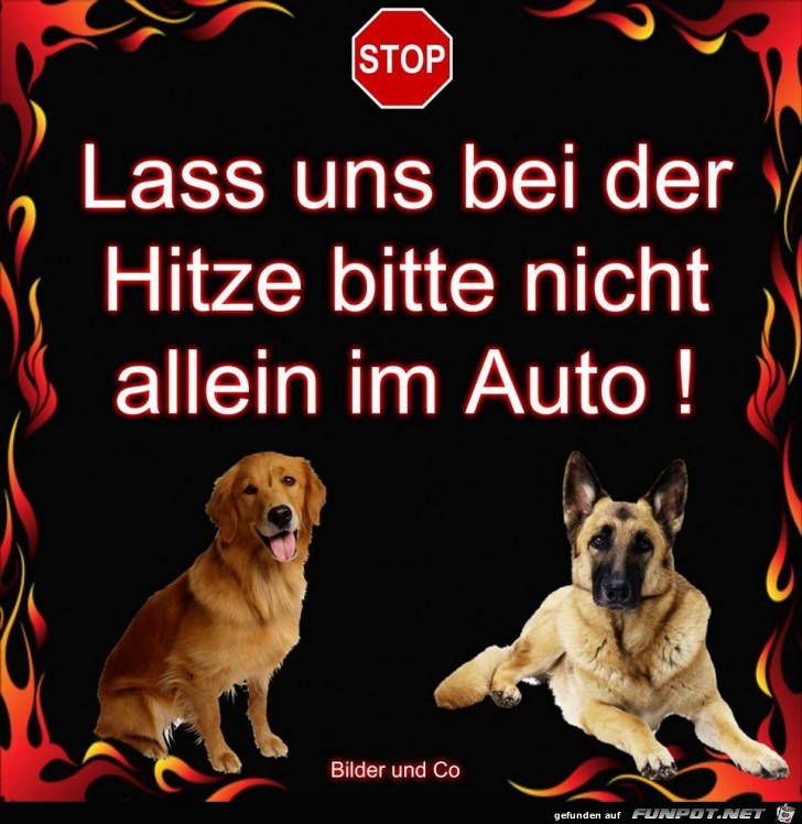 Bei der Hitze Bei der Hitze
