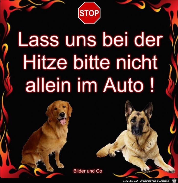 Bei der Hitze