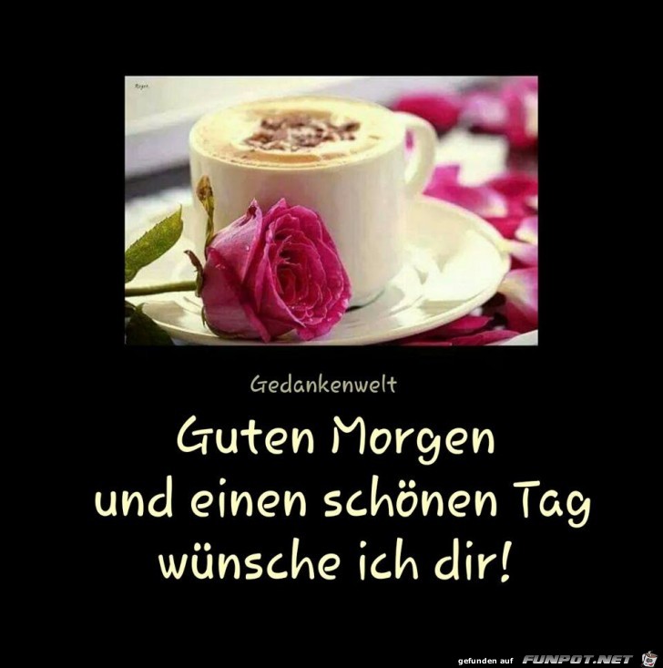 Guten Morgen-- 