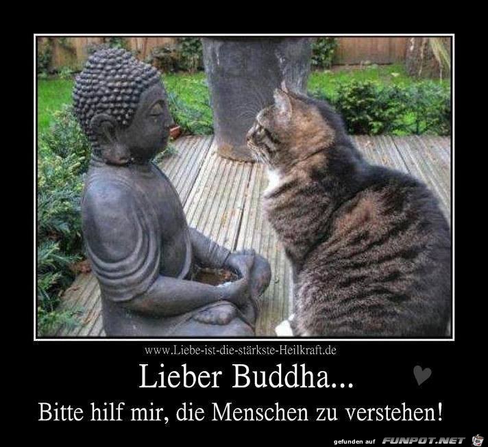 Lieber Buddha