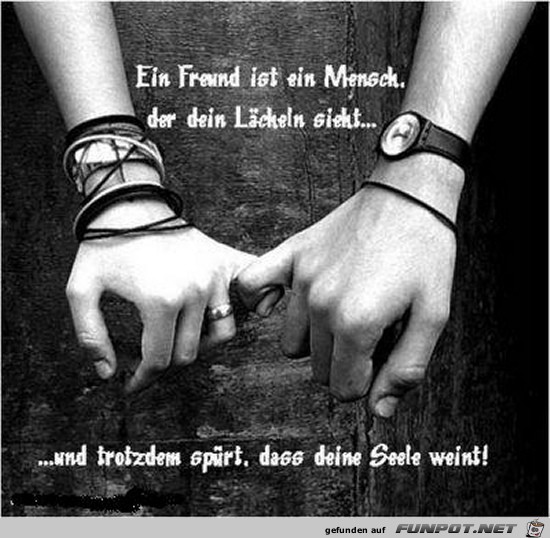 ein Freund ist ein Mensch.....