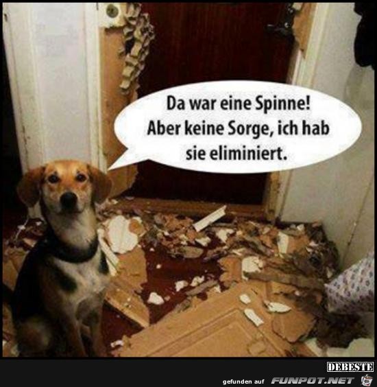 da war eine Spinne....