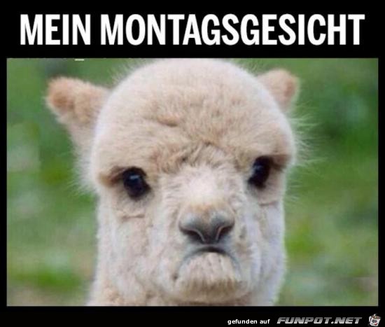 mein Montagsgesicht