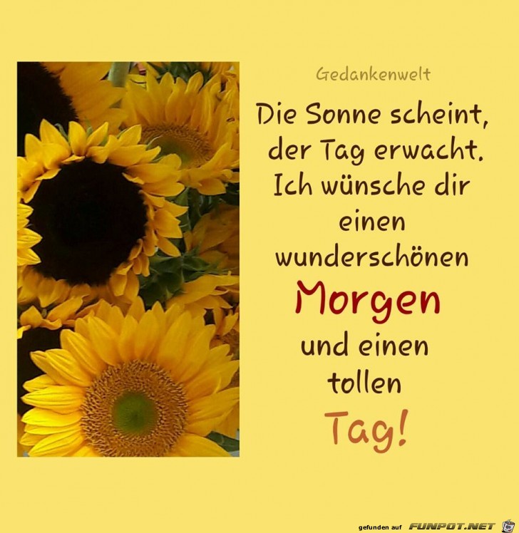 Die Sonne scheint