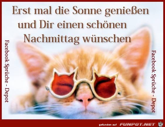 Sonne geniessen Sonne geniessen