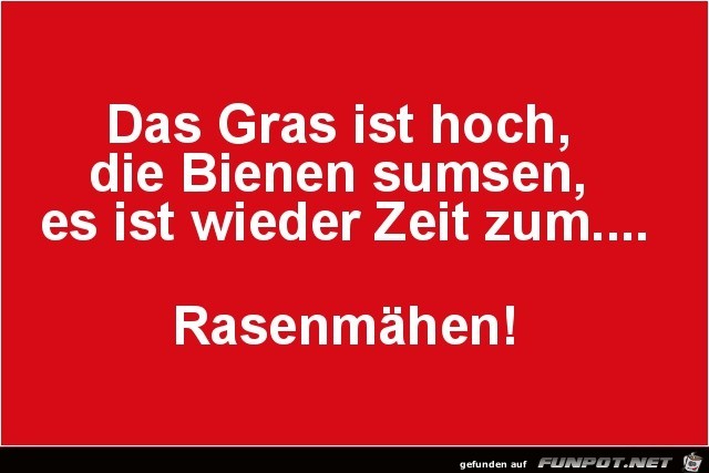 das Gras ist hoch......