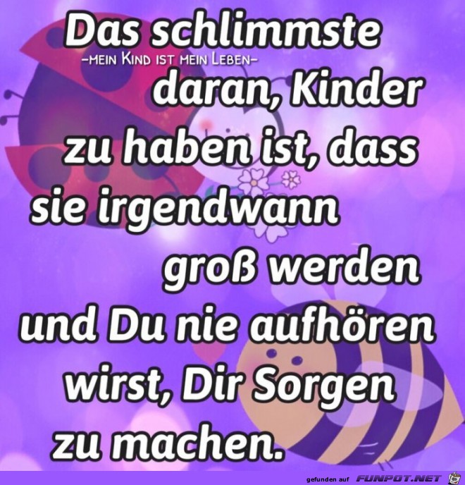 Sorgen zu machen