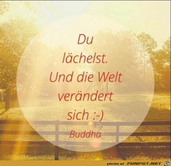 Du-lchelst und die Welt...