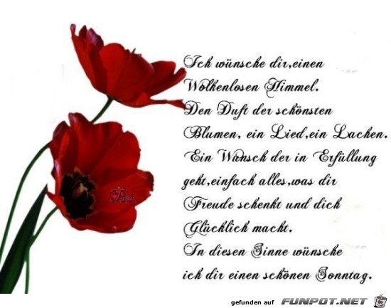 sonntag sonntag