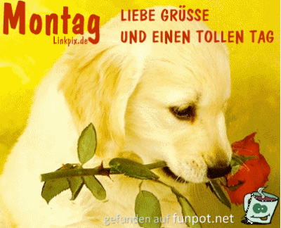 Gif Montag, liebe Grsse