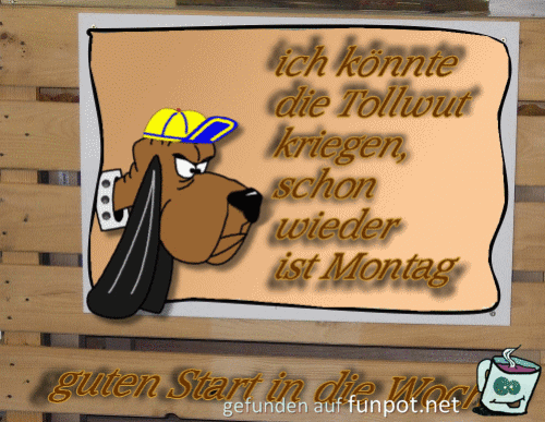 schon wieder Montag...... schon wieder Montag......