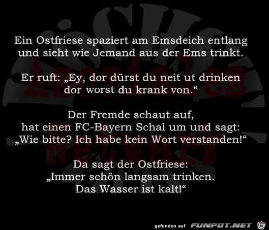 ein Ostfriese am Emsdeich.......