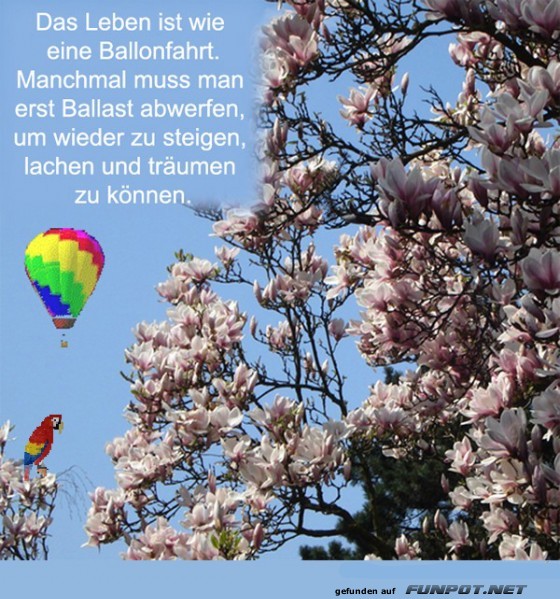Das Leben ist wie eine Ballonfahrt... Das Leben ist wie eine Ballonfahrt...