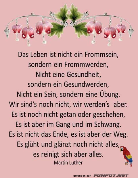 Das Leben Das Leben