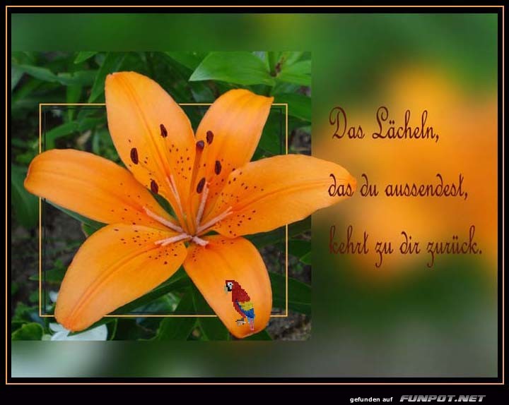 10 schne Sprche und Lebensweisheiten aus...