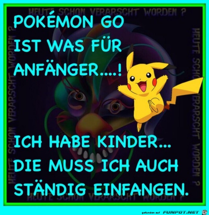 Pokemon ist was fuer Anfaenger