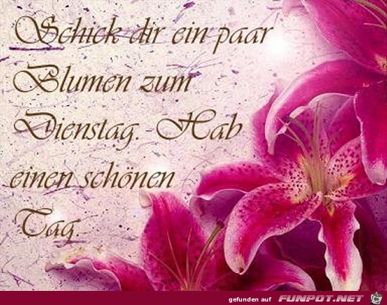 dienstag dienstag