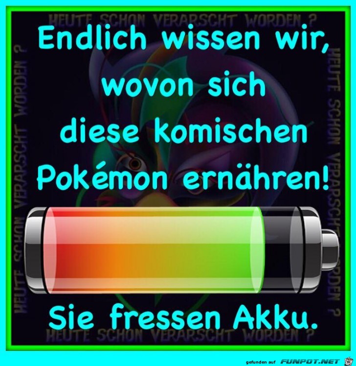 Wie sich Pokemons ernaehren