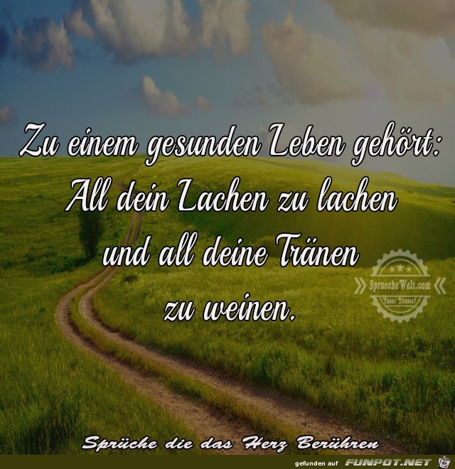 Zu einem gesunden Leben Zu einem gesunden Leben