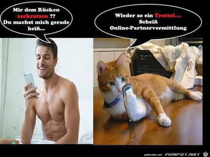 Wieder so ein Wieder so ein