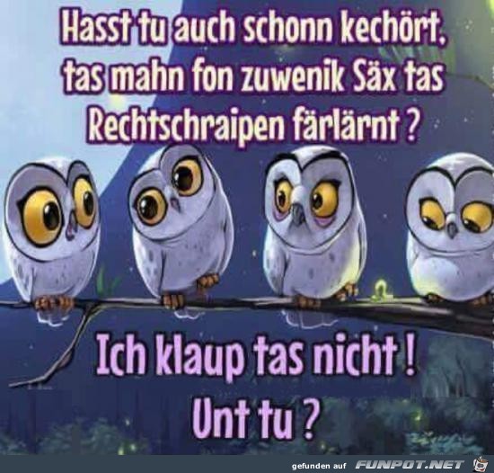 ich klaup tas nich ich klaup tas nich