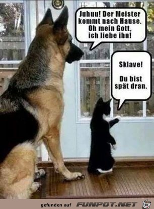 Feiner Unterschied Feiner Unterschied