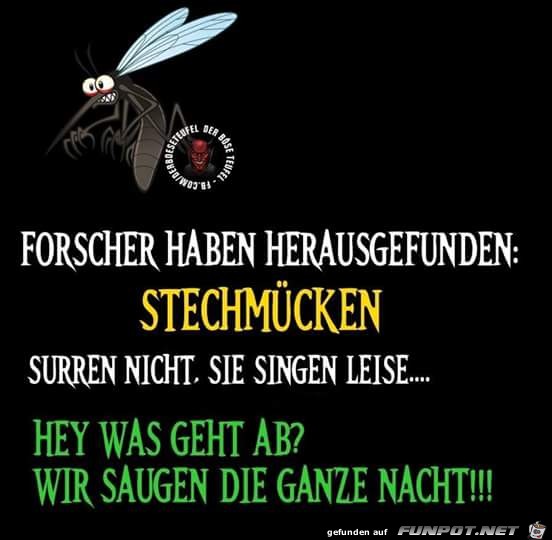 Stechmuecken