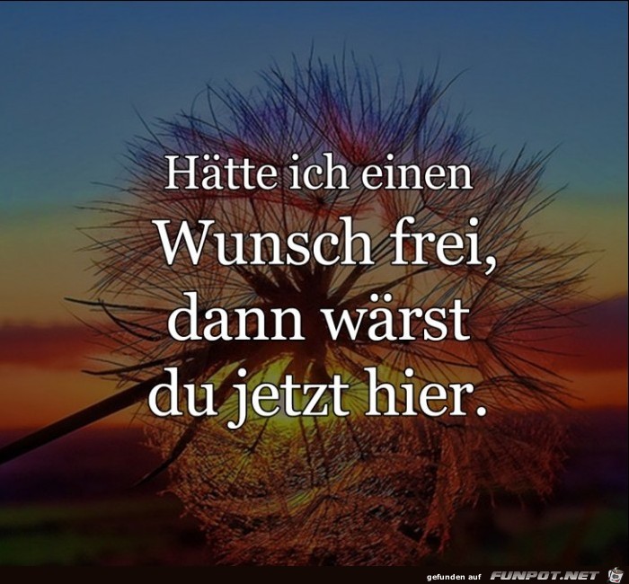 haette ich einen Wunsch frei......