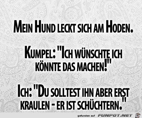 kraulen kraulen