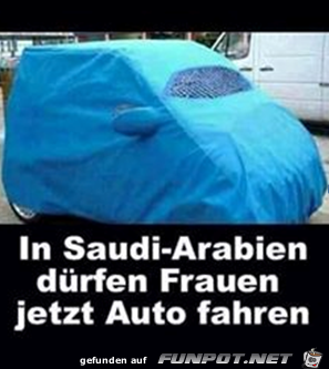 Auto-Burka