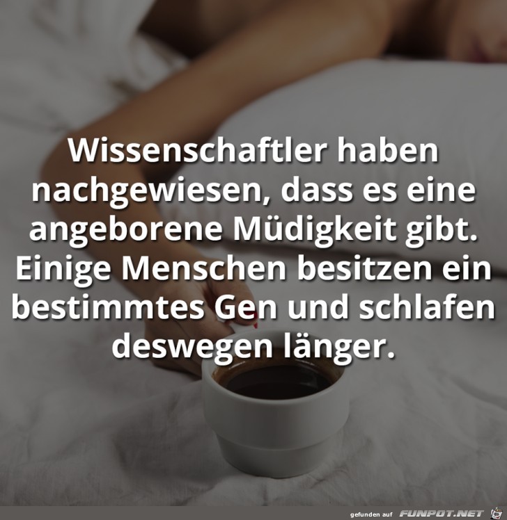 Wissenschaftler haben nachgewiesen... Wissenschaftler haben nachgewiesen...