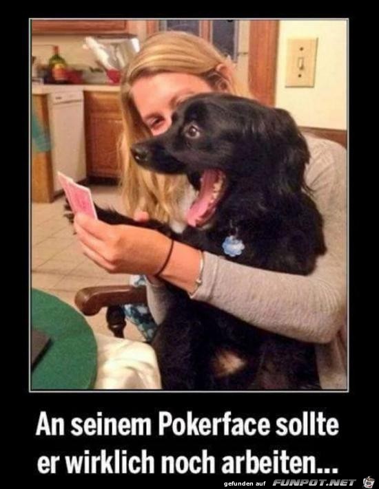 daran sollte er noch arbeiten..... daran sollte er noch arbeiten.....