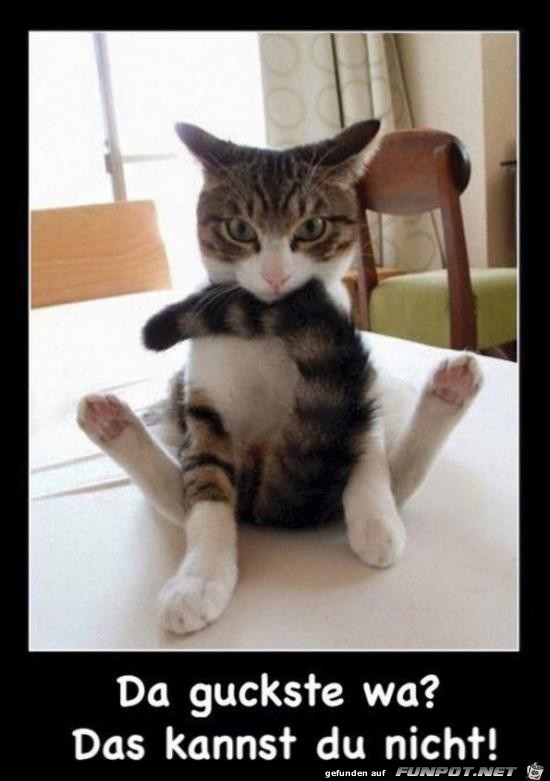 da guckste wa..... da guckste wa.....