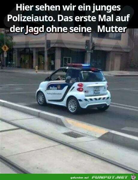 Ein junges Polizeiauto Ein junges Polizeiauto