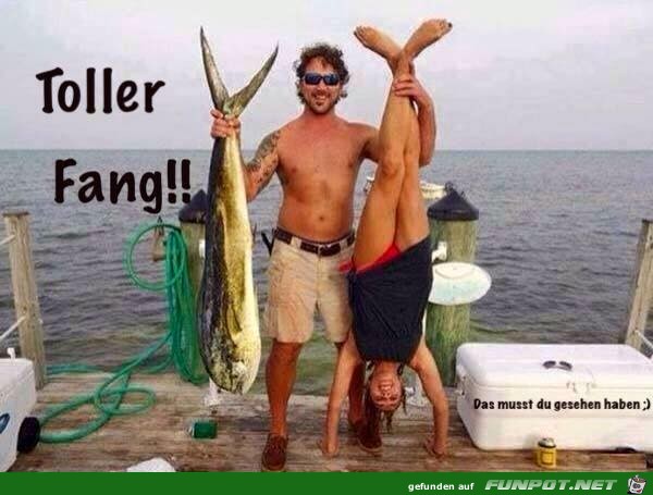 Toller Fang Toller Fang