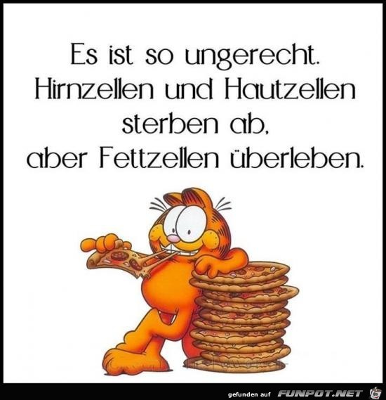 es ist so ungerecht.....