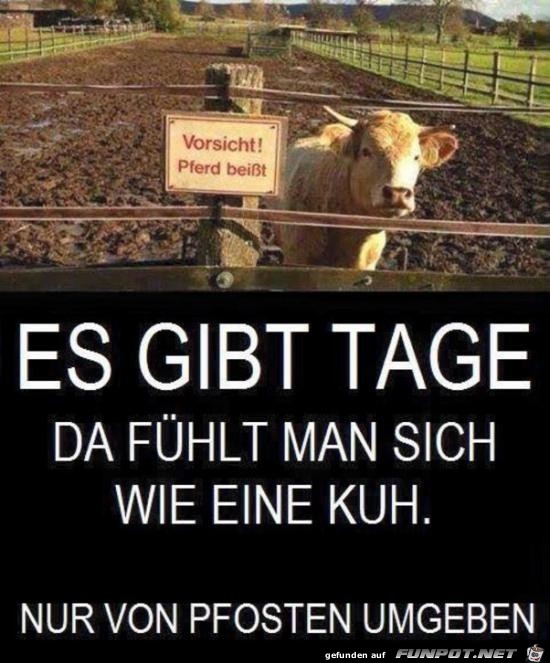 es gibt Tage.......