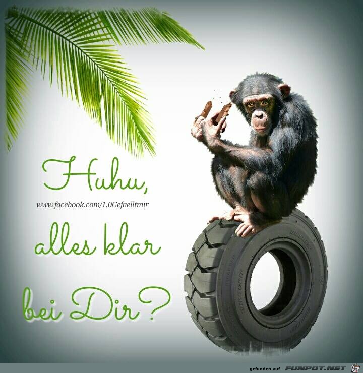 Alles klar Alles klar