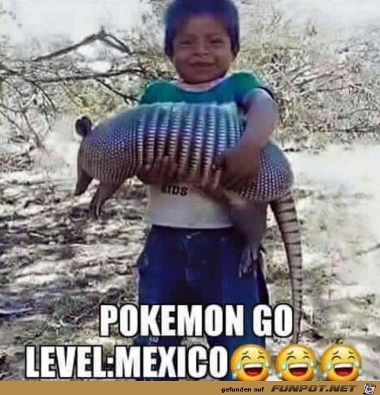 Pokemon go