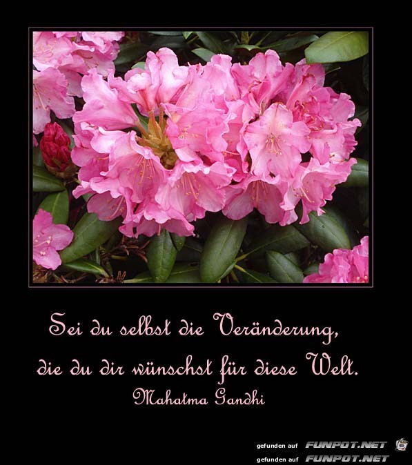 Sei du selbst Sei du selbst