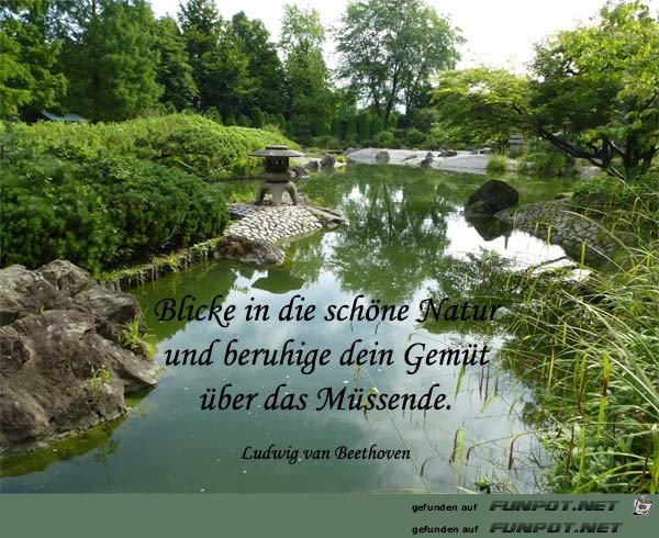 Blicke in die Natur Blicke in die Natur