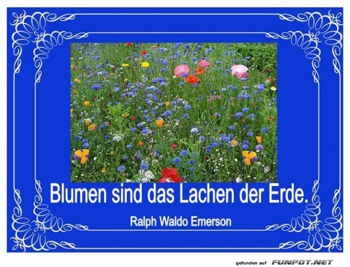 Blumen sind das Lachen der Erde Blumen sind das Lachen der Erde