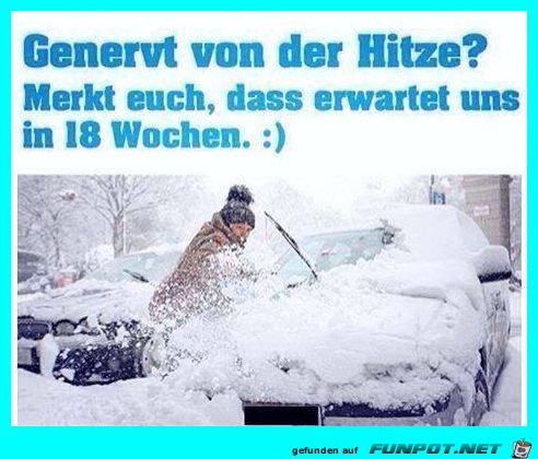 Genervt von der Hitze Genervt von der Hitze