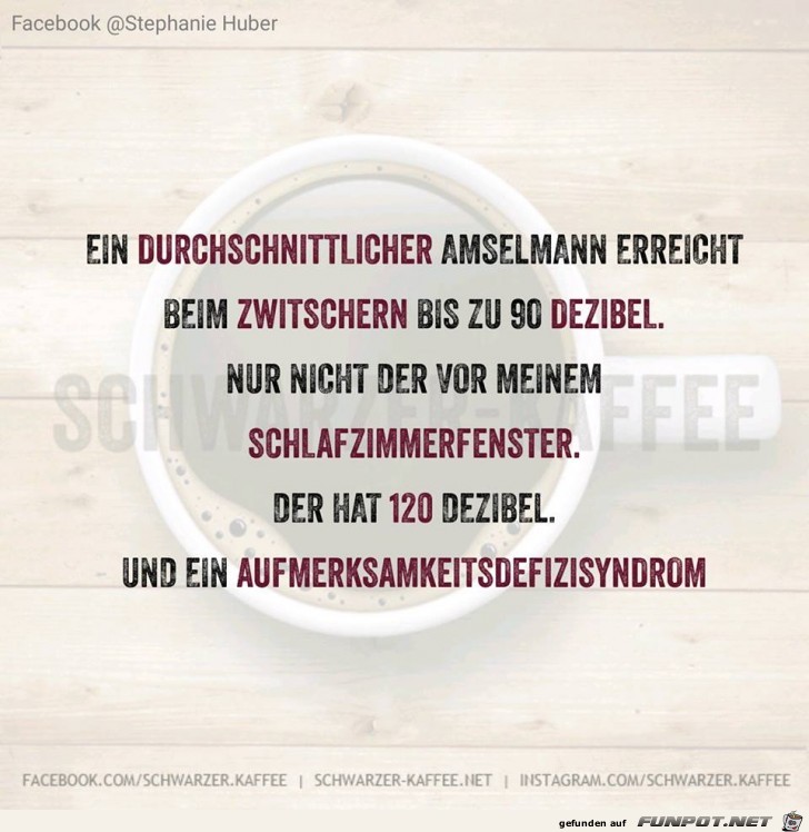 Wie laut wird eine Amsel Wie laut wird eine Amsel