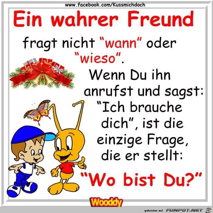 Ein wahrer Freund