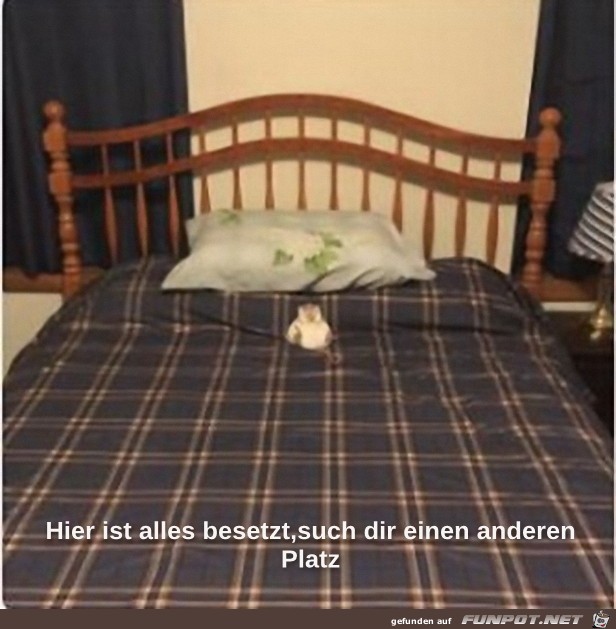 Hier ist alles besetzt... Hier ist alles besetzt...