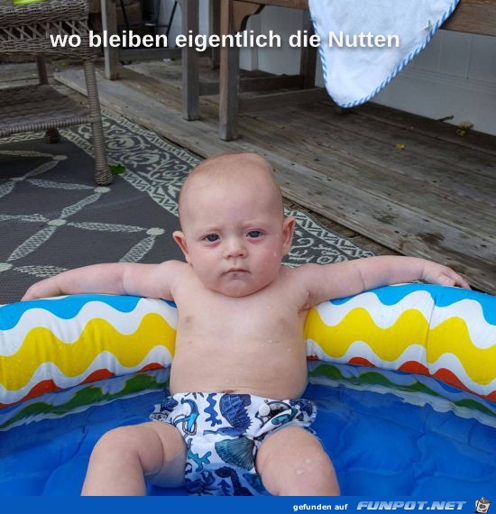 witzige frivole Bilder aus verschiedenen Blogs. Du...