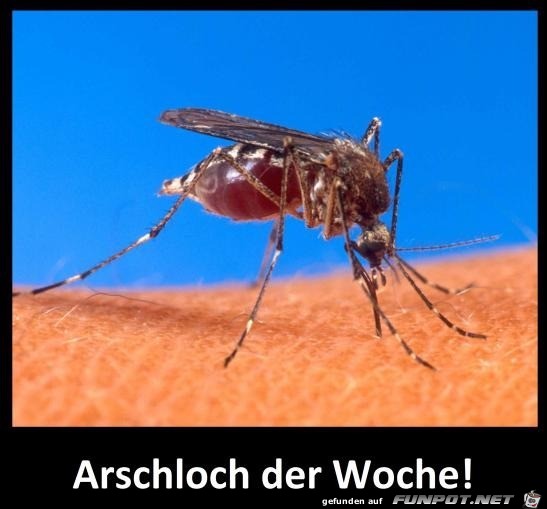 Drecksack der Woche Drecksack der Woche