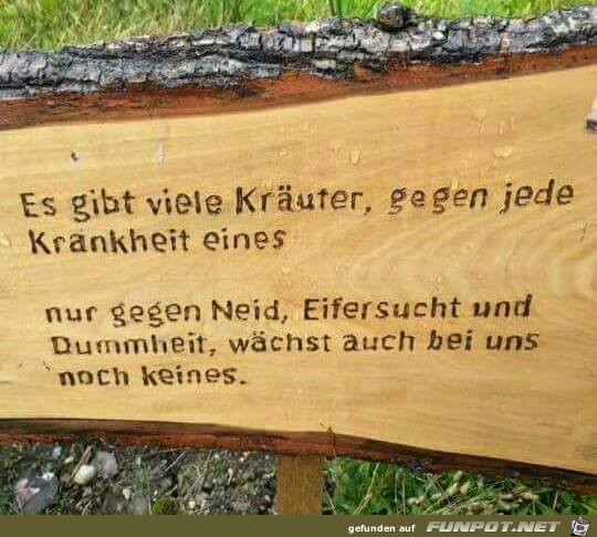 Es gibt viele Kraeuter Es gibt viele Kraeuter